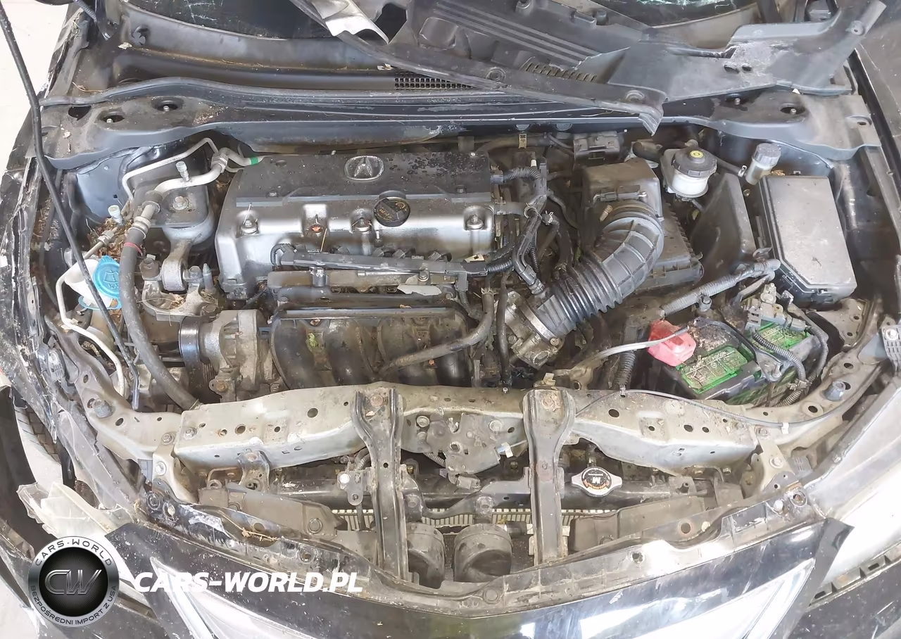 2014 Acura Ilx 2.4L VIN:19VDE2E54EE000027 - 10