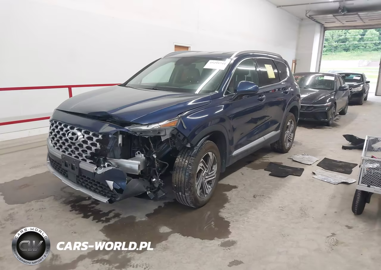 2022 Hyundai Santa Fe Sel VIN:5NMS2DAJ0NH397685 - 2