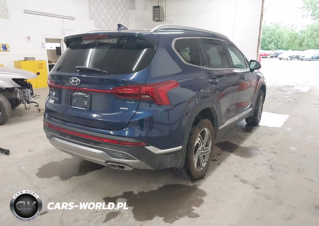 2022 Hyundai Santa Fe Sel VIN:5NMS2DAJ0NH397685 - 4