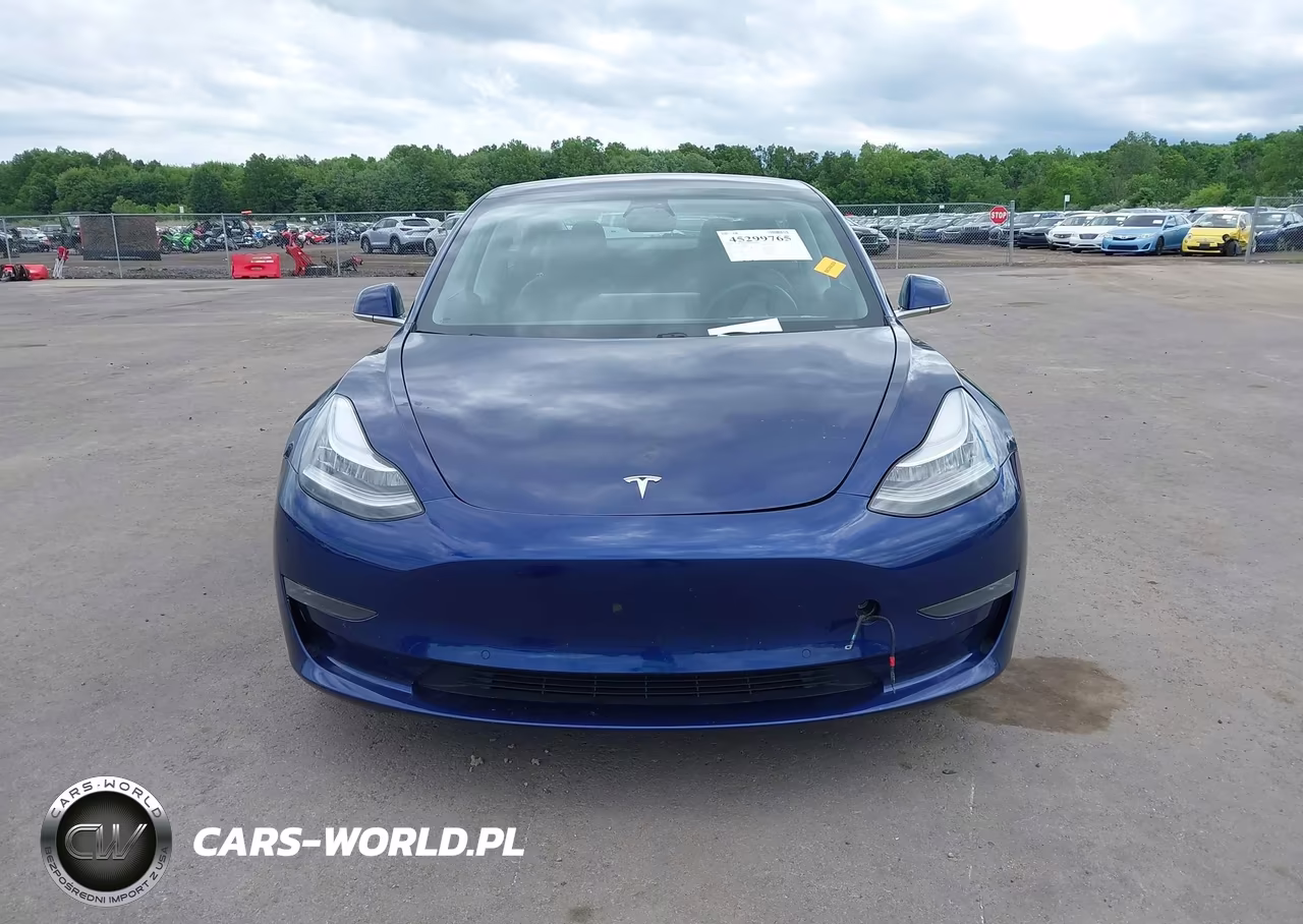 2019 Tesla Model 3 Long Range-Mid Range-Standard Range-Standard Range Plus VIN:5YJ3E1EA3KF299526 - 11
