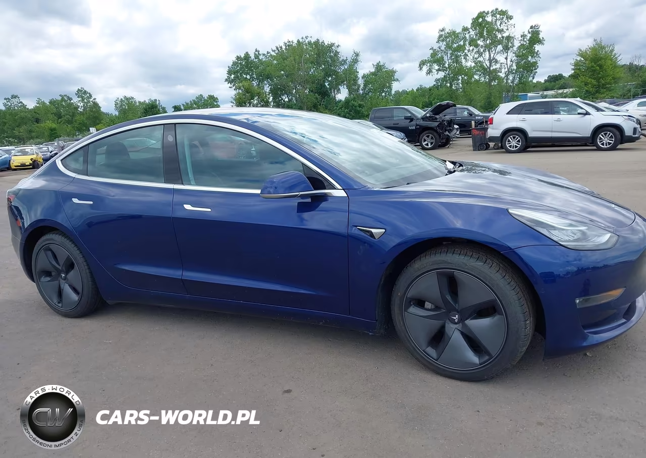 2019 Tesla Model 3 Long Range-Mid Range-Standard Range-Standard Range Plus VIN:5YJ3E1EA3KF299526 - 12