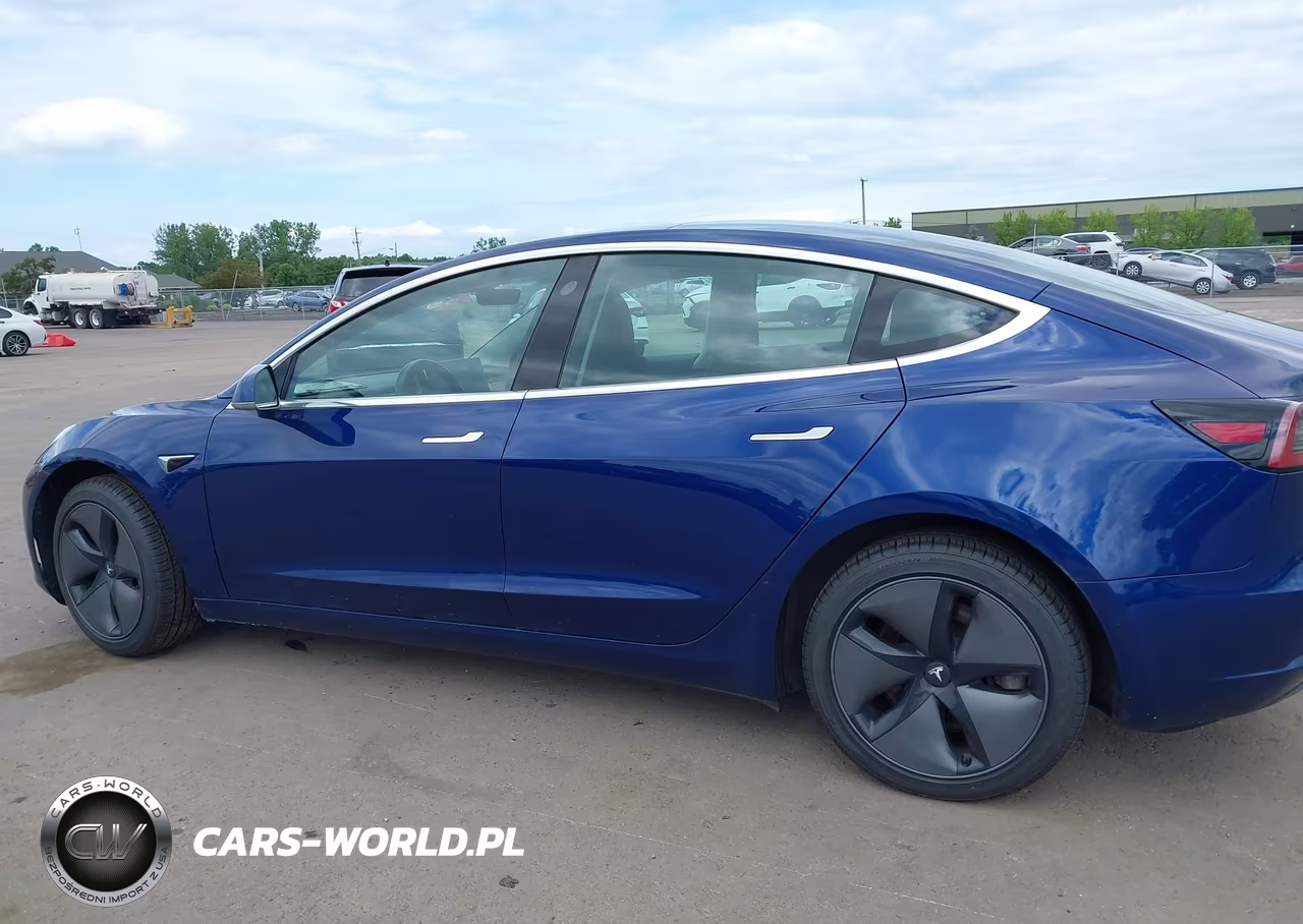 2019 Tesla Model 3 Long Range-Mid Range-Standard Range-Standard Range Plus VIN:5YJ3E1EA3KF299526 - 13