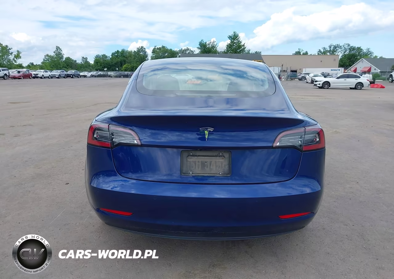 2019 Tesla Model 3 Long Range-Mid Range-Standard Range-Standard Range Plus VIN:5YJ3E1EA3KF299526 - 15