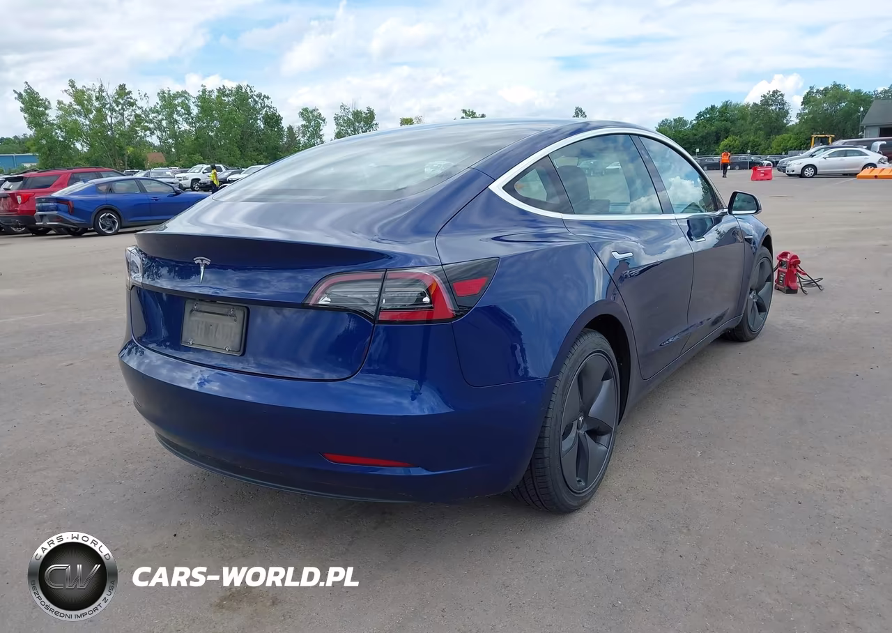 2019 Tesla Model 3 Long Range-Mid Range-Standard Range-Standard Range Plus VIN:5YJ3E1EA3KF299526 - 4