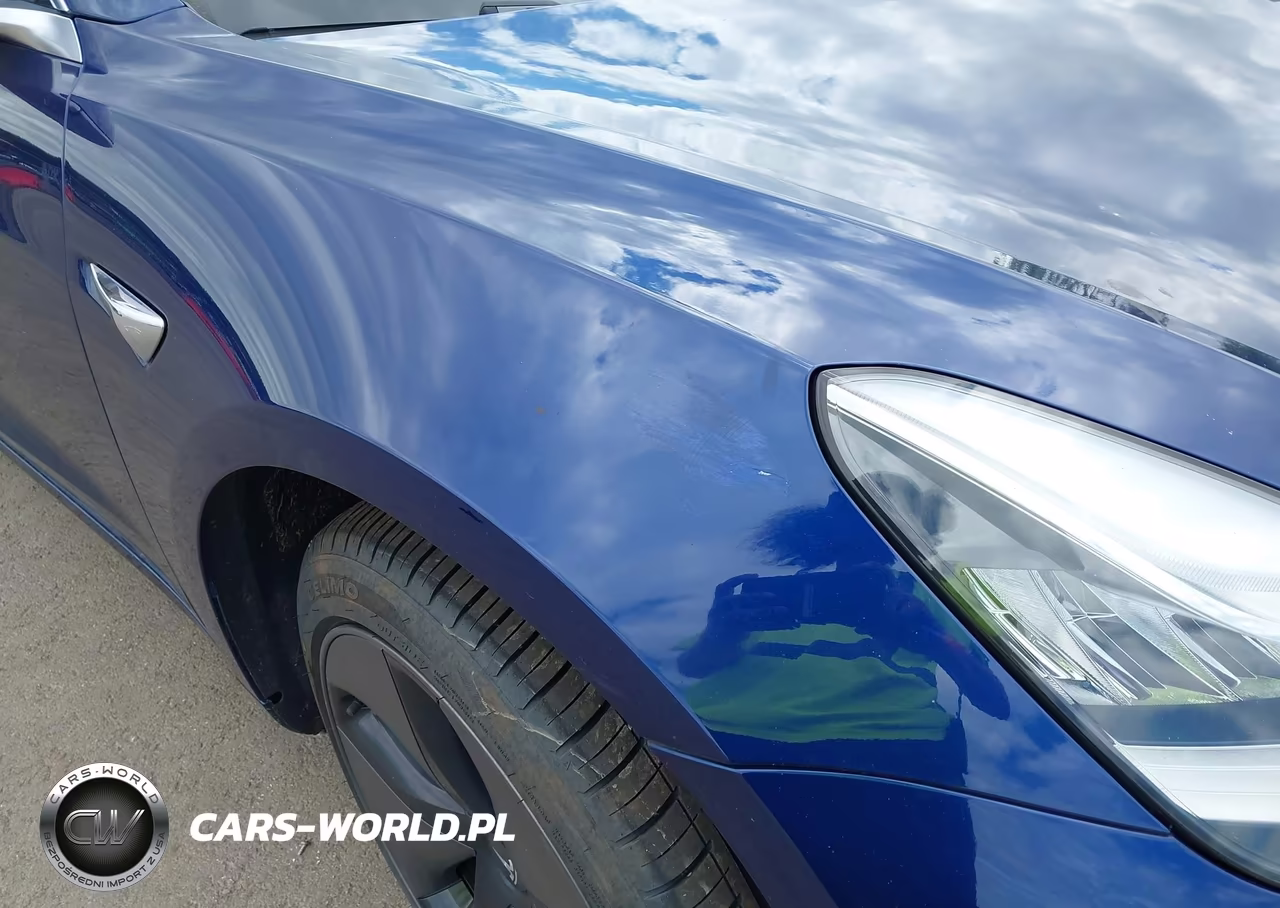 2019 Tesla Model 3 Long Range-Mid Range-Standard Range-Standard Range Plus VIN:5YJ3E1EA3KF299526 - 6