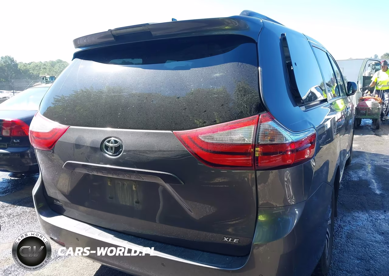 2018 Toyota Sienna Xle 8 Passenger VIN:5TDYZ3DC4JS933865 - 16