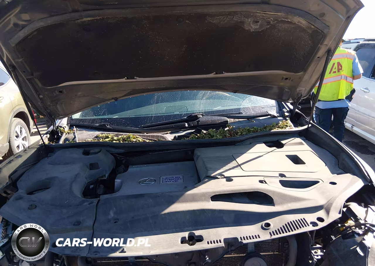 2015 Lexus Rx 450H VIN:2T2BC1BA5FC001909 - 10
