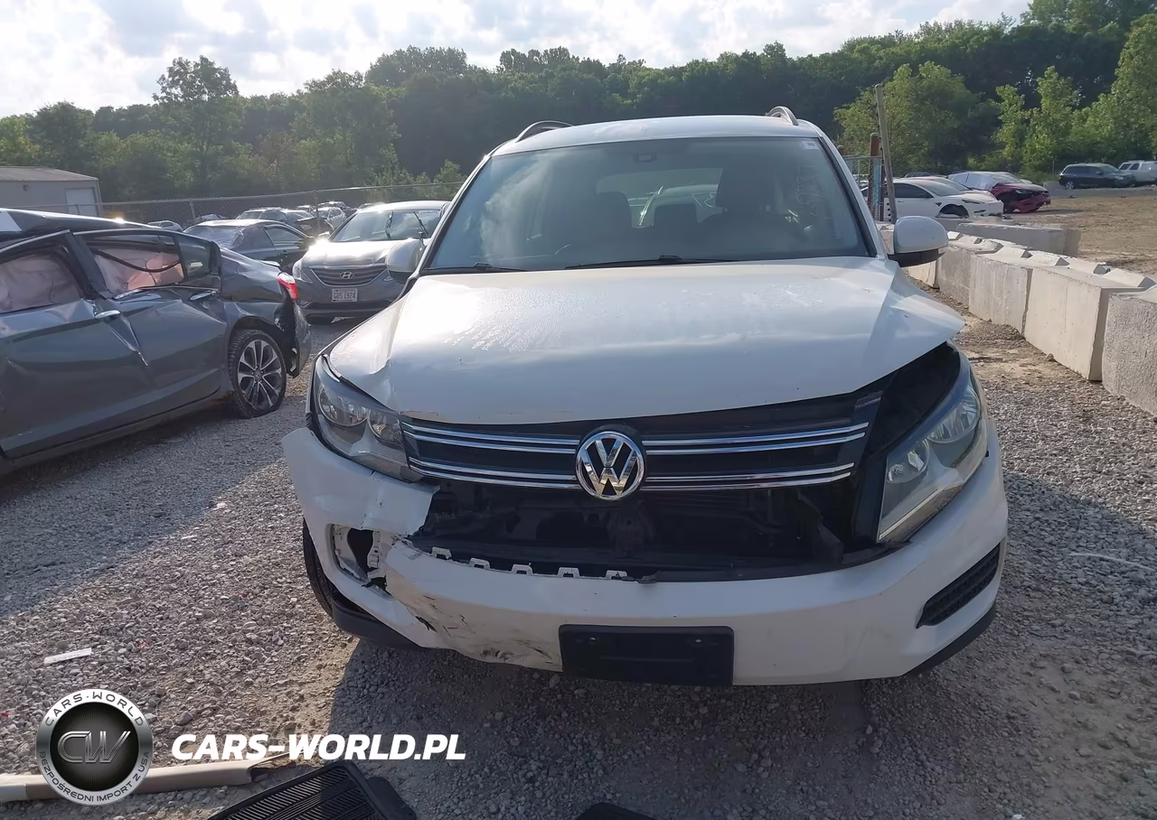 2016 Volkswagen Tiguan S VIN:WVGAV7AXXGW609237 - 12