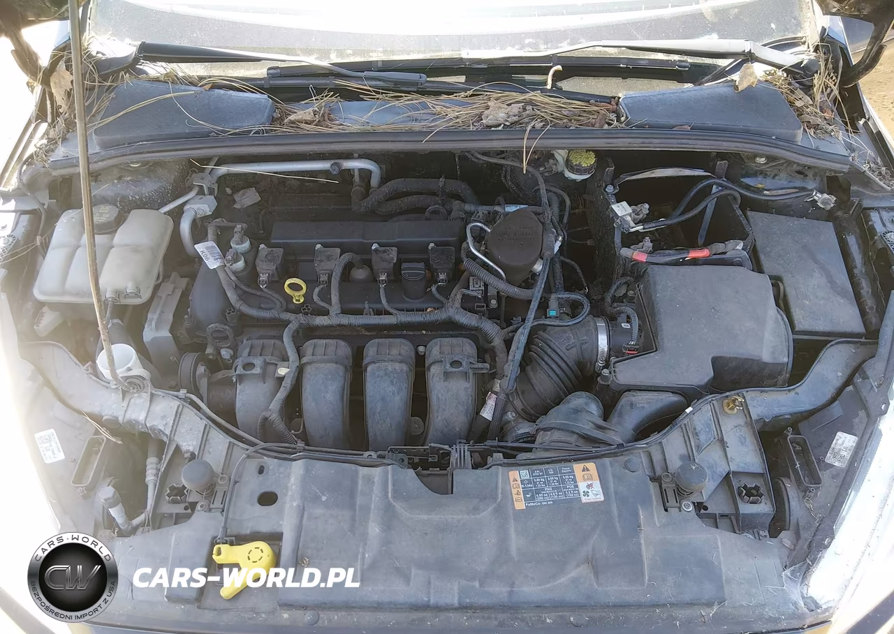 2015 Ford Focus Se VIN:1FADP3F23FL244035 - 10
