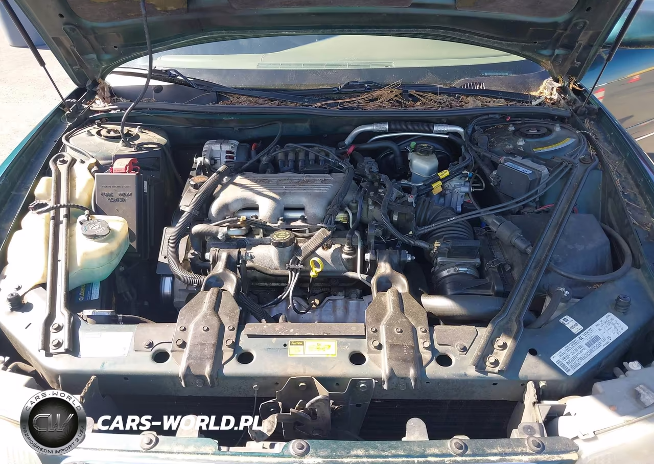 1997 Buick Century Custom Cmi VIN:2G4WS52M6V1413923 - 10