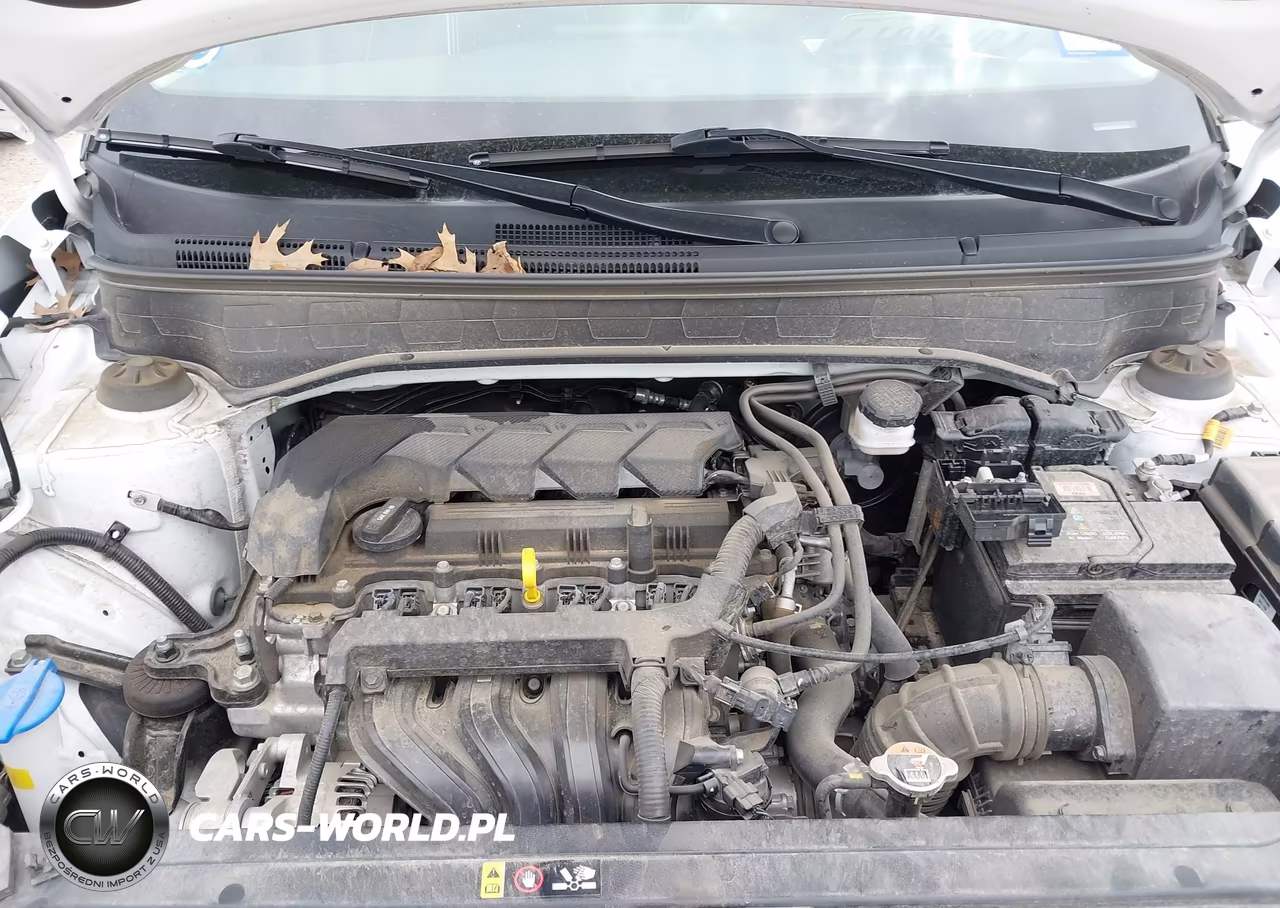 2024 Hyundai Venue Limited VIN:KMHRC8A31RU324341 - 10