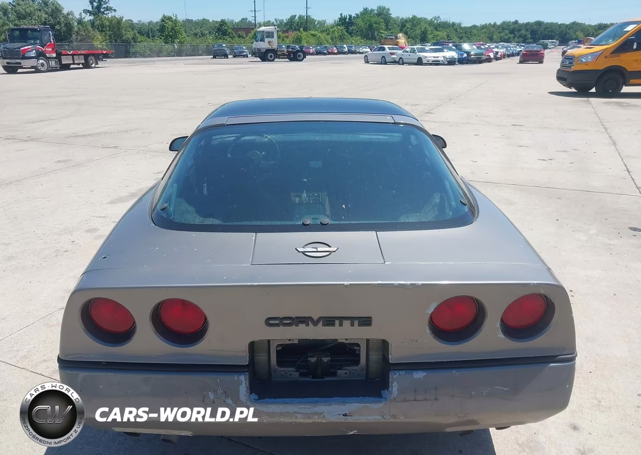 1984 Chevrolet Corvette VIN:1G1AY0785E5115981 - 12