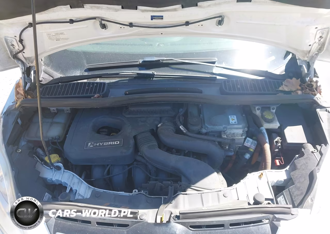 2016 Ford C-Max Hybrid Se VIN:1FADP5AU3GL110812 - 10