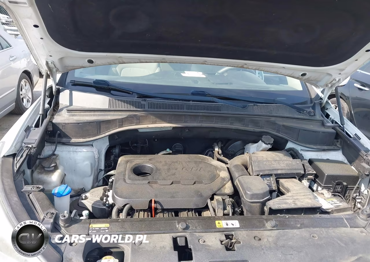 2017 Hyundai Santa Fe Sport 2.4L VIN:5NMZU3LB6HH019285 - 10