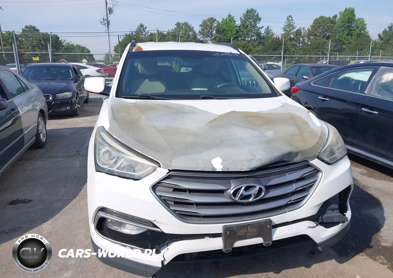 2017 Hyundai Santa Fe Sport 2.4L VIN:5NMZU3LB6HH019285 - 12