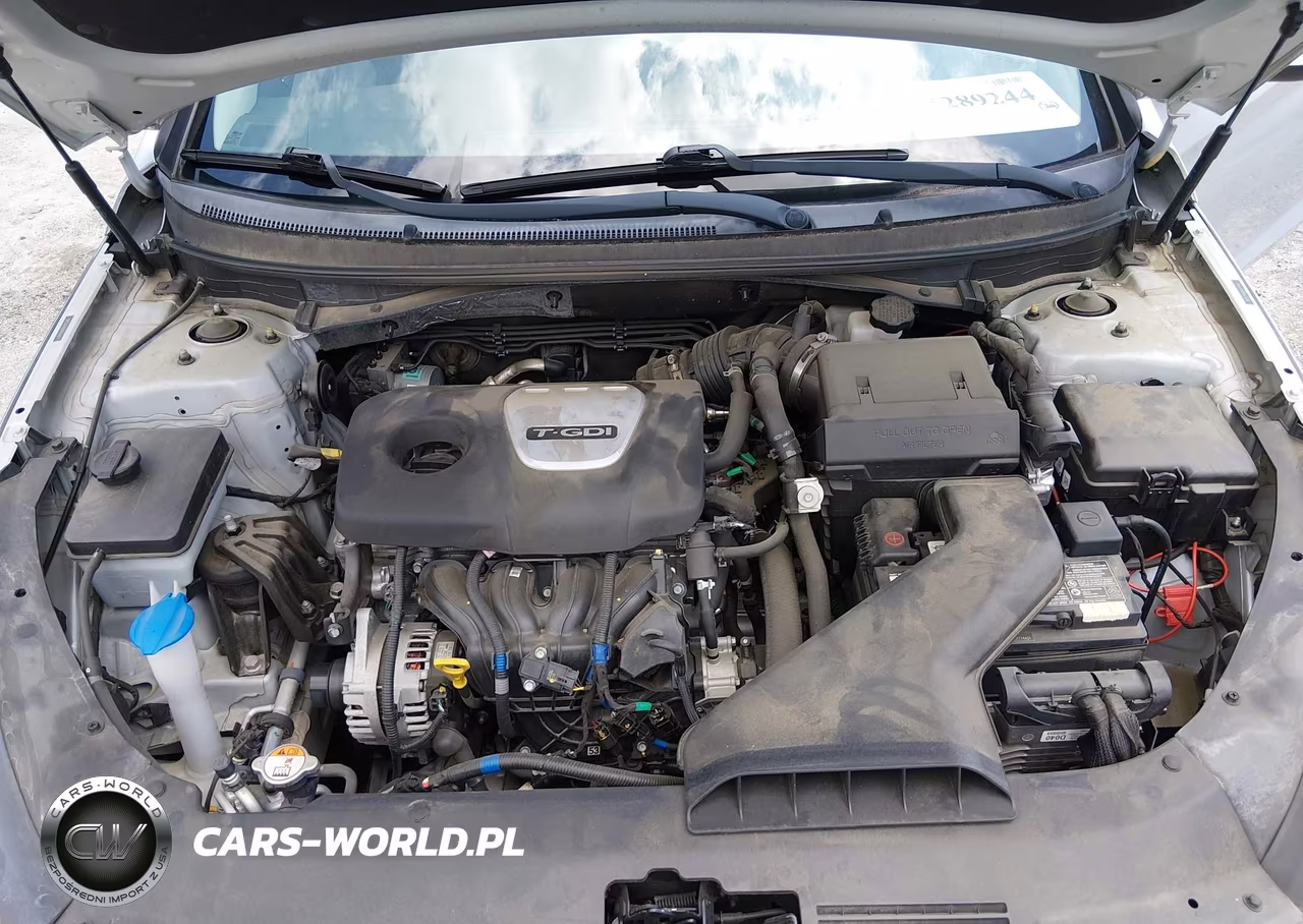 2019 Hyundai Sonata Eco VIN:5NPE24AA6KH774421 - 10