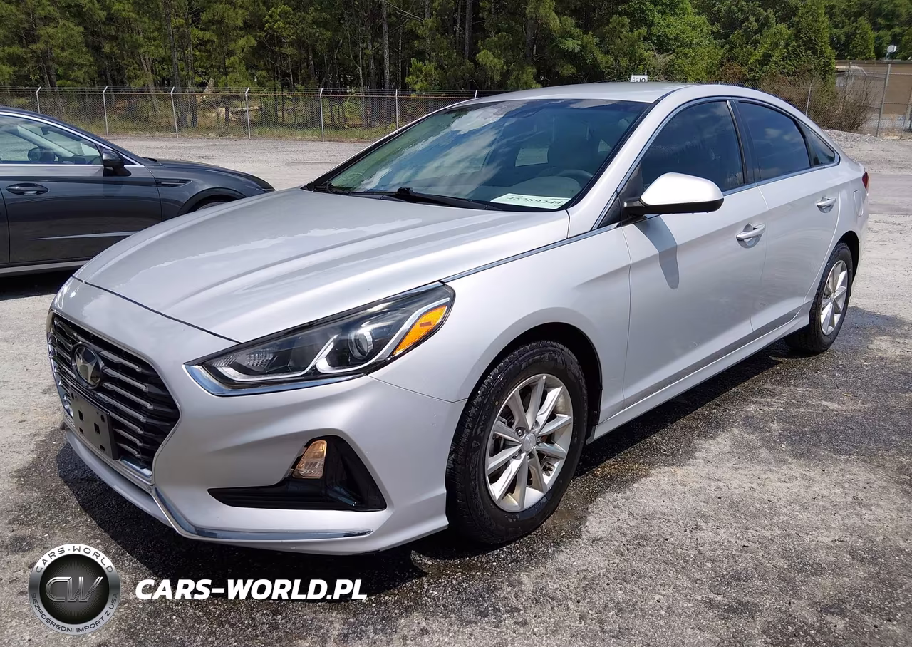 2019 Hyundai Sonata Eco VIN:5NPE24AA6KH774421 - 2