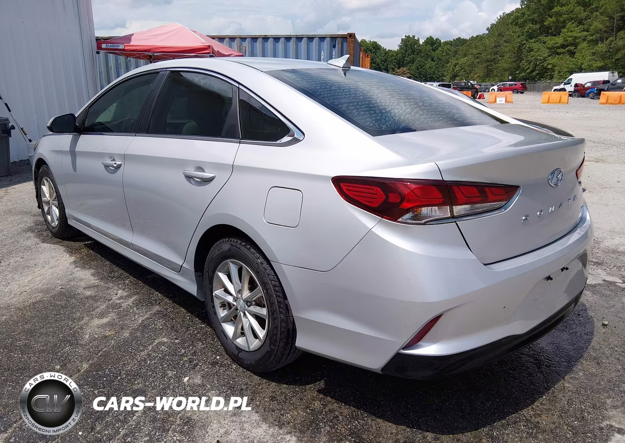 2019 Hyundai Sonata Eco VIN:5NPE24AA6KH774421 - 3