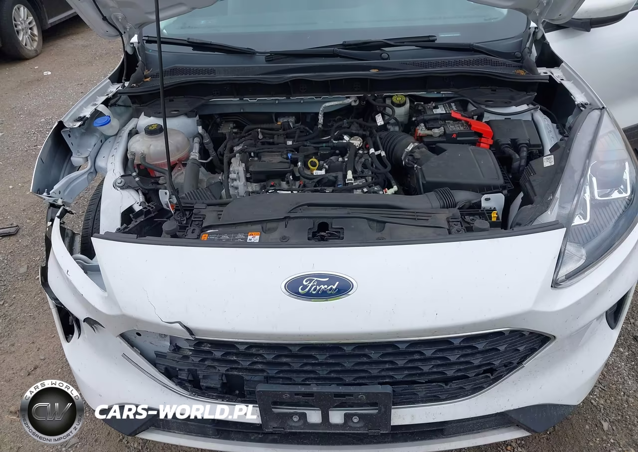 2021 Ford Escape Se VIN:1FMCU9G63MUA17210 - 10