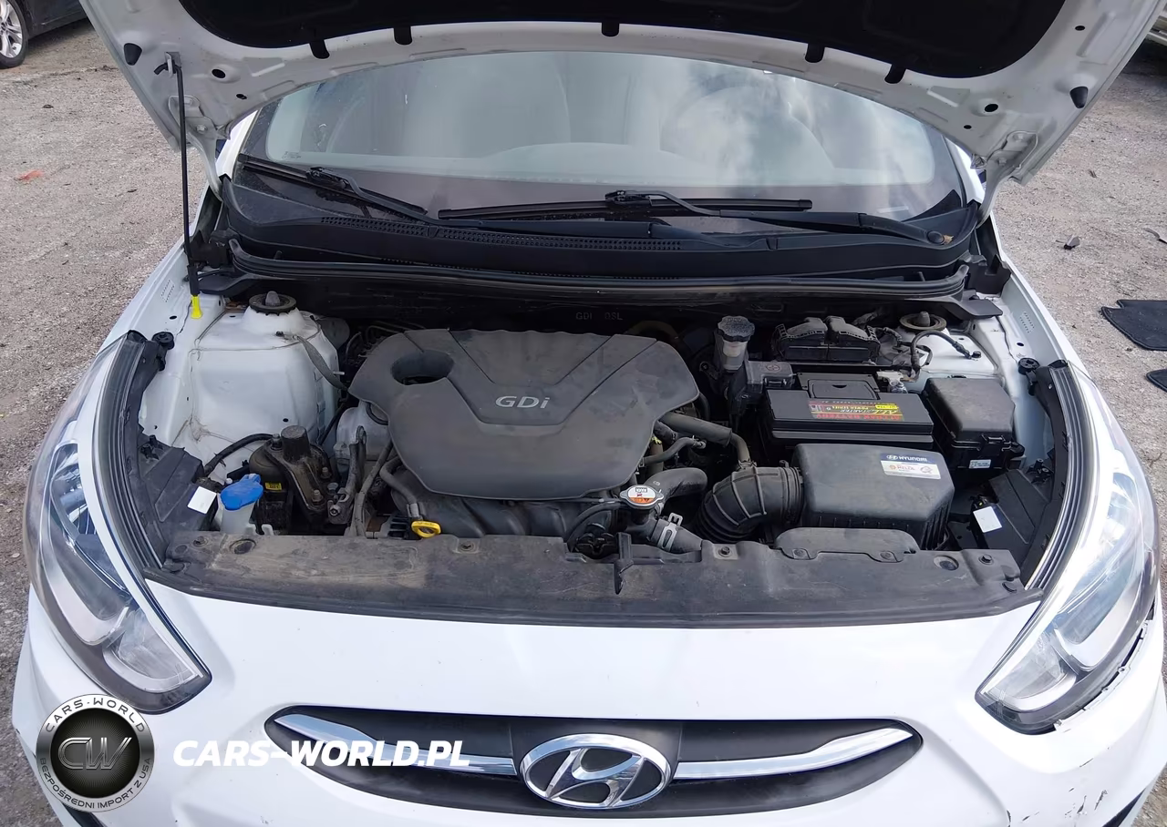 2016 Hyundai Accent Se VIN:KMHCT5AE3GU285979 - 10