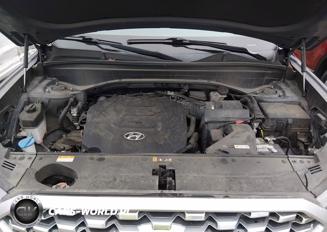 2021 Hyundai Palisade Limited VIN:KM8R5DHEXMU206503 - 10