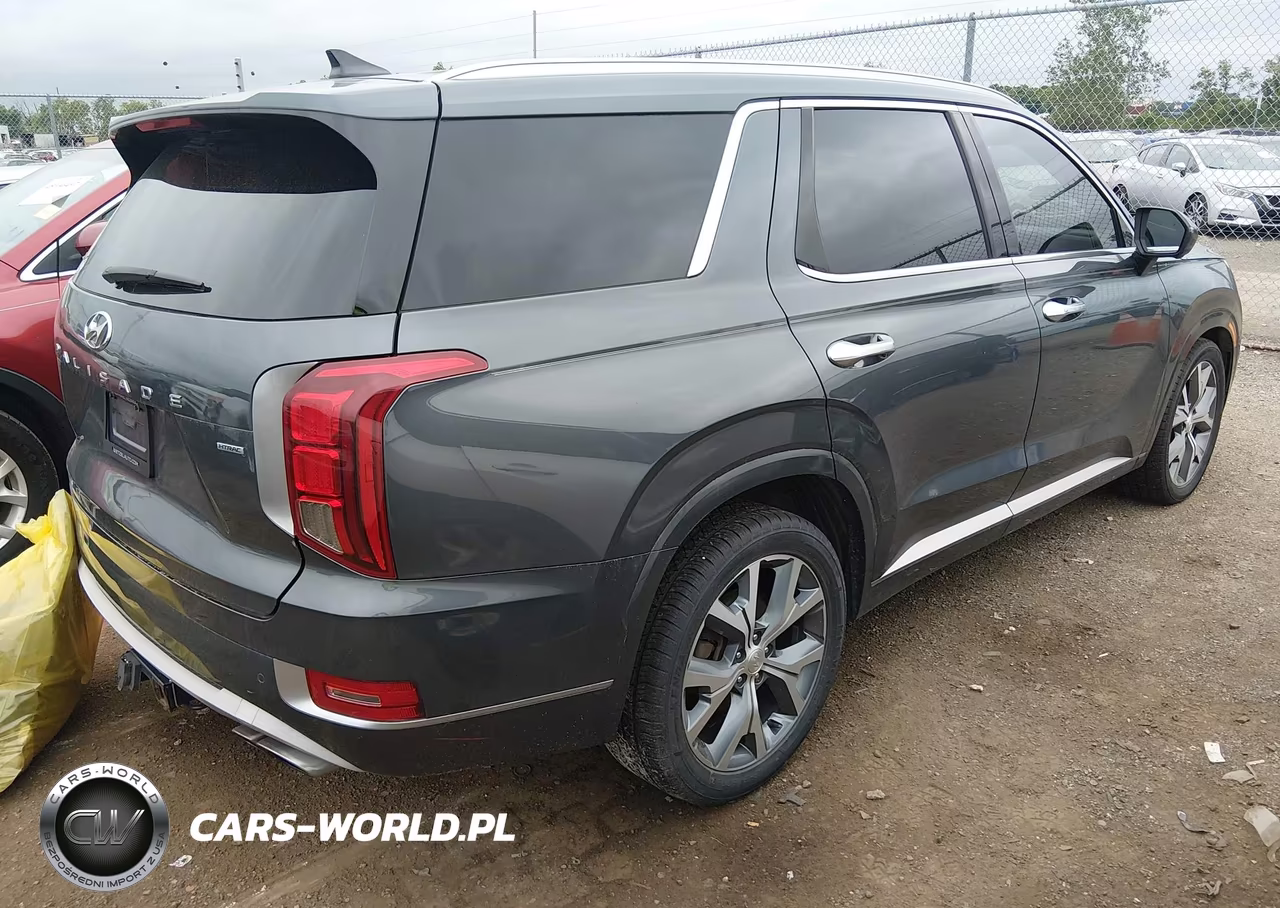 2021 Hyundai Palisade Limited VIN:KM8R5DHEXMU206503 - 4