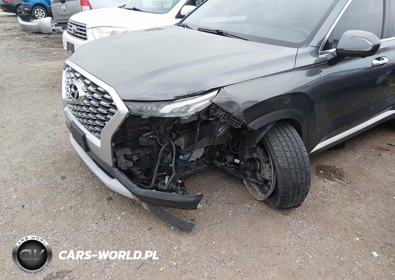 2021 Hyundai Palisade Limited VIN:KM8R5DHEXMU206503 - 6
