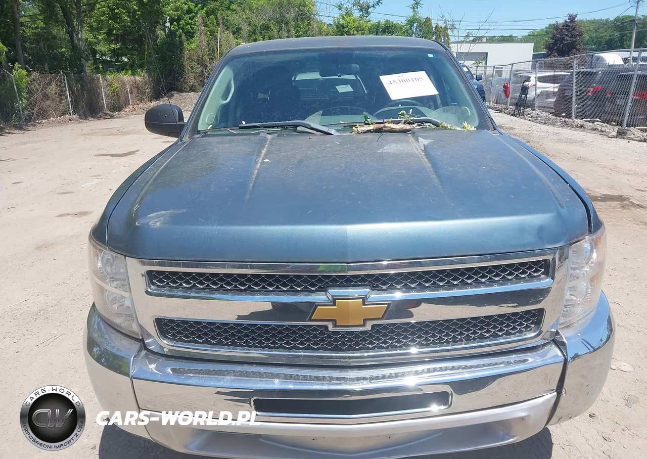 2013 Chevrolet Silverado 1500 Work Truck VIN:1GCRCPEX1DZ175985 - 12