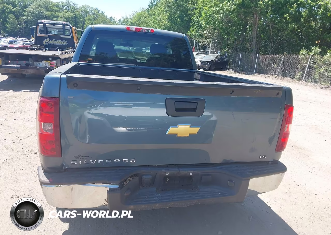 2013 Chevrolet Silverado 1500 Work Truck VIN:1GCRCPEX1DZ175985 - 16