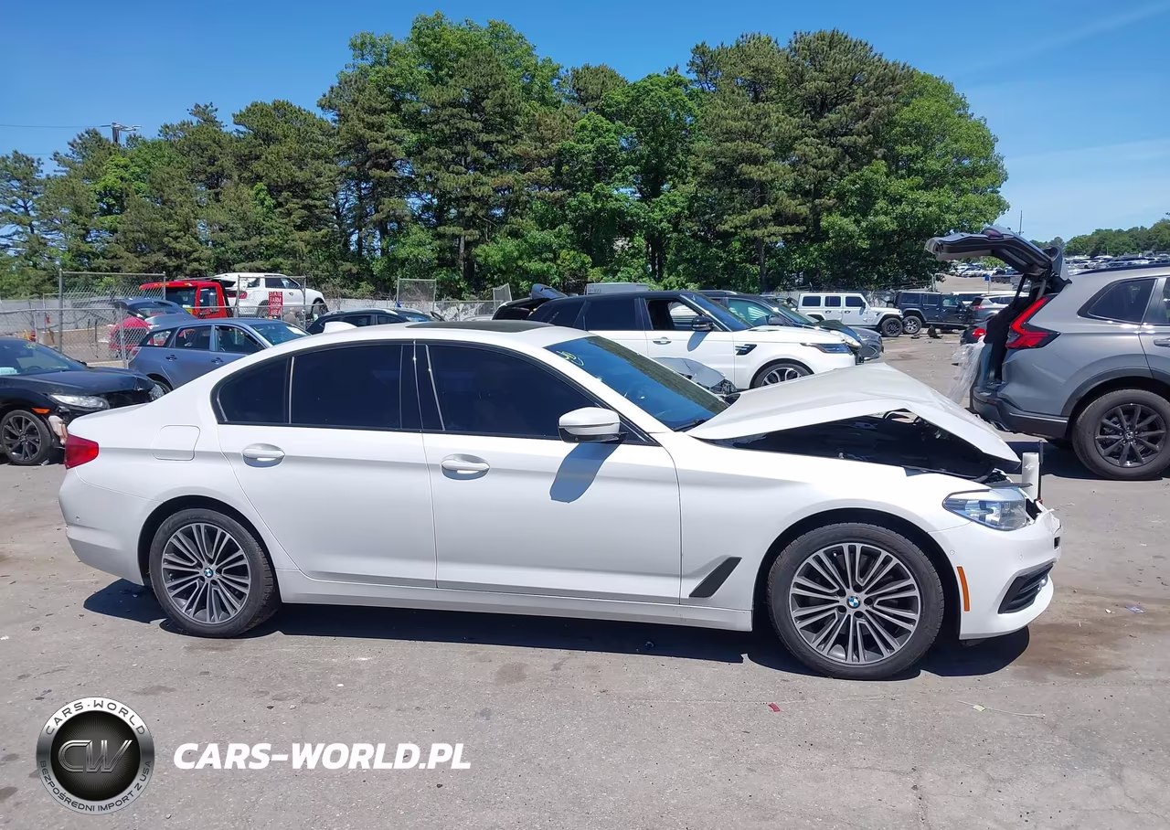 2019 BMW 530I xDrive VIN:WBAJA7C55KG910929 - 12