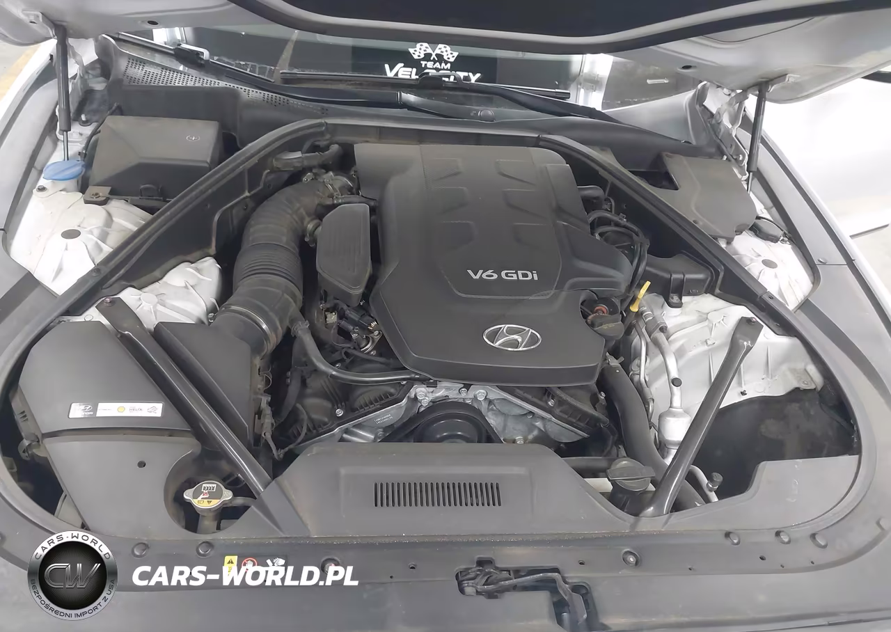 2015 Hyundai Genesis 3.8 VIN:KMHGN4JE6FU034684 - 10