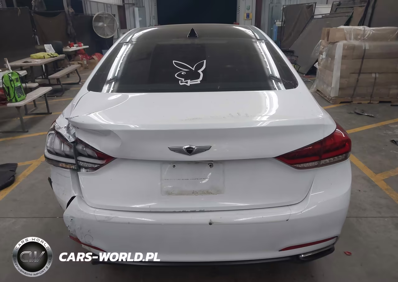 2015 Hyundai Genesis 3.8 VIN:KMHGN4JE6FU034684 - 16