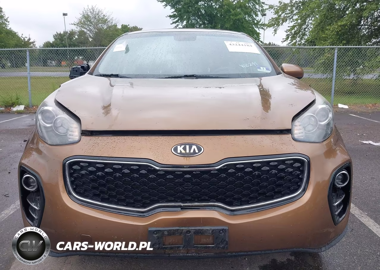 2017 Kia Sportage Lx VIN:KNDPMCACXH7118928 - 12