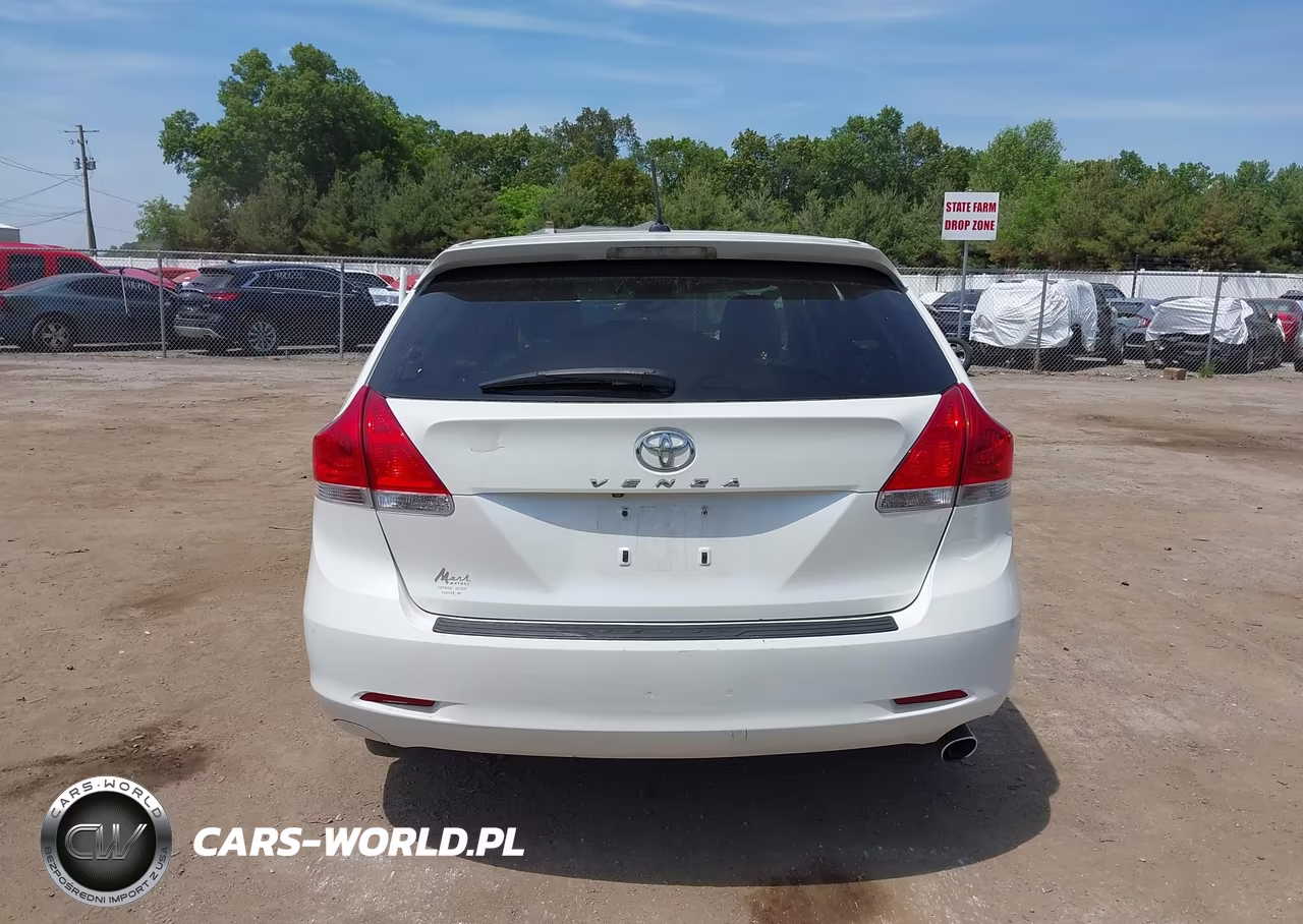 2010 Toyota Venza VIN:4T3ZA3BB8AU022233 - 17