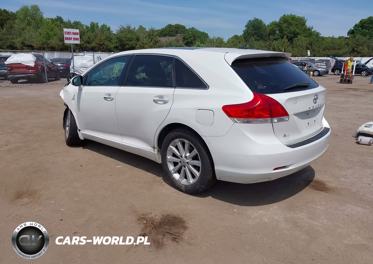 2010 Toyota Venza VIN:4T3ZA3BB8AU022233 - 3