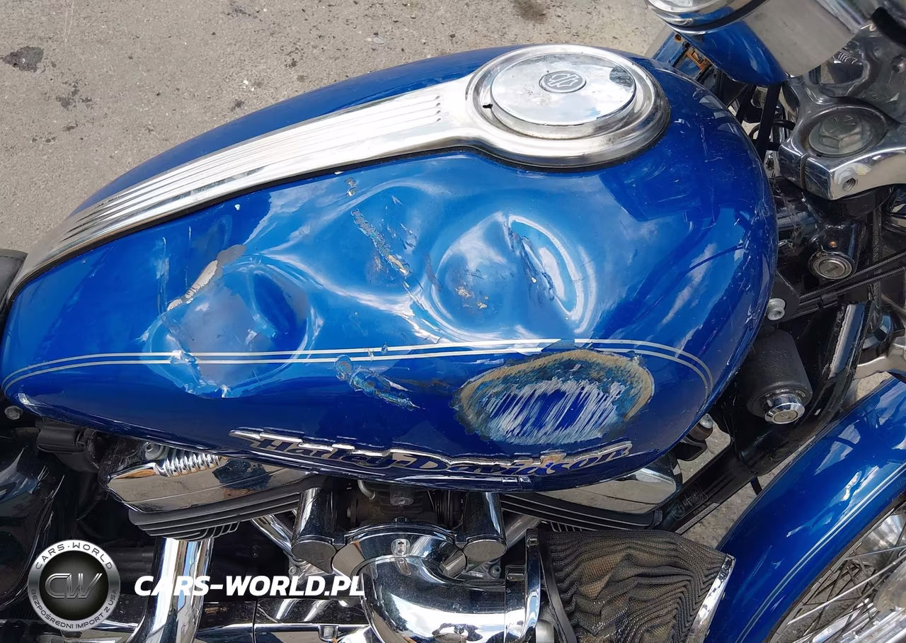 2007 Harley-Davidson Xl1200 C VIN:1HD1CT3137K449462 - 15