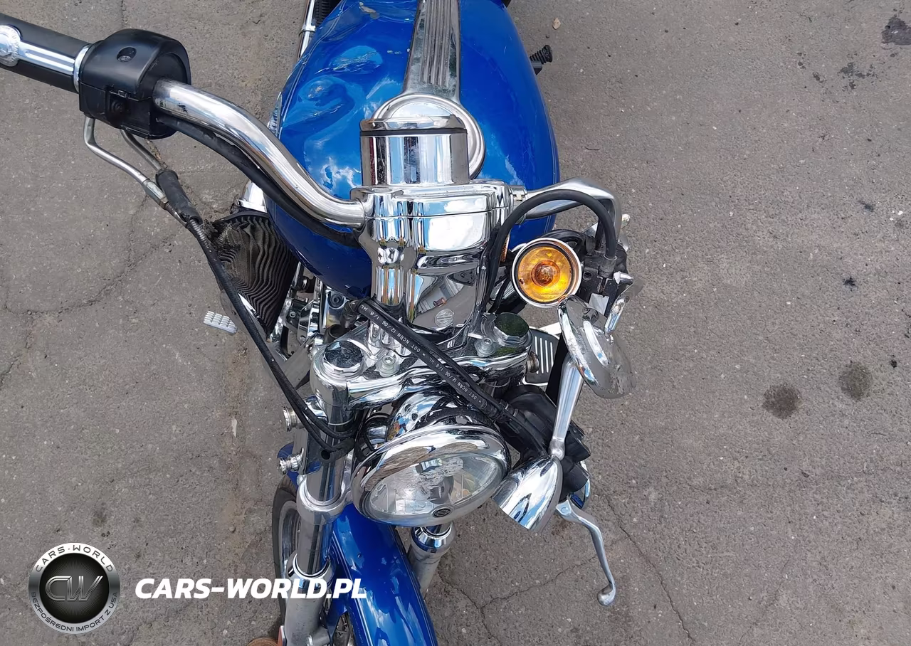 2007 Harley-Davidson Xl1200 C VIN:1HD1CT3137K449462 - 16