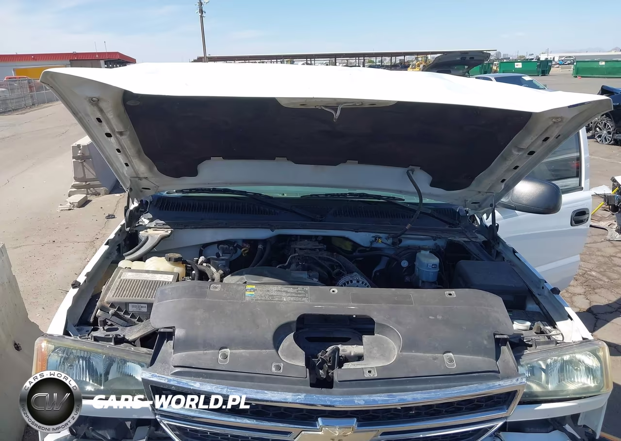 2006 Chevrolet Silverado 1500 Ls VIN:2GCEC13V961344918 - 10