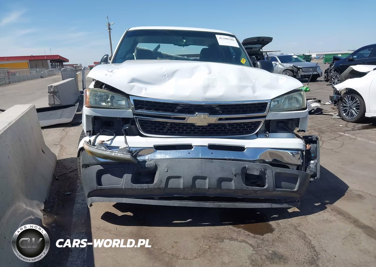 2006 Chevrolet Silverado 1500 Ls VIN:2GCEC13V961344918 - 13