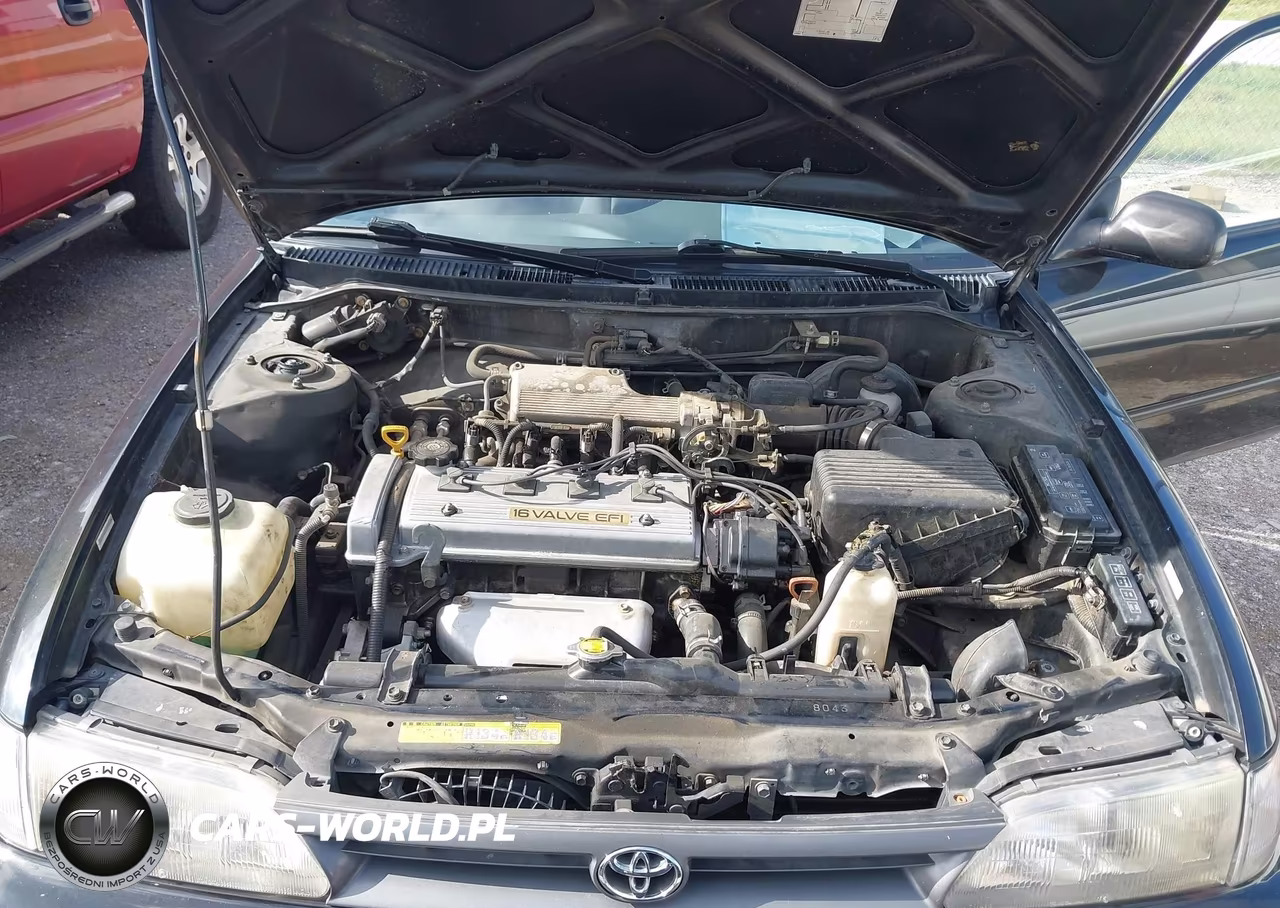 1994 Toyota Corolla Le-Dx VIN:1NXAE09B2RZ193795 - 10