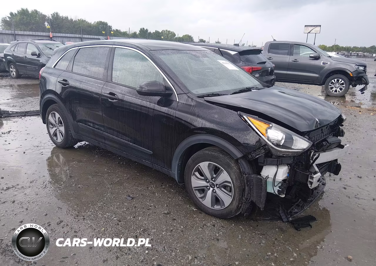 2019 Kia Niro Fe