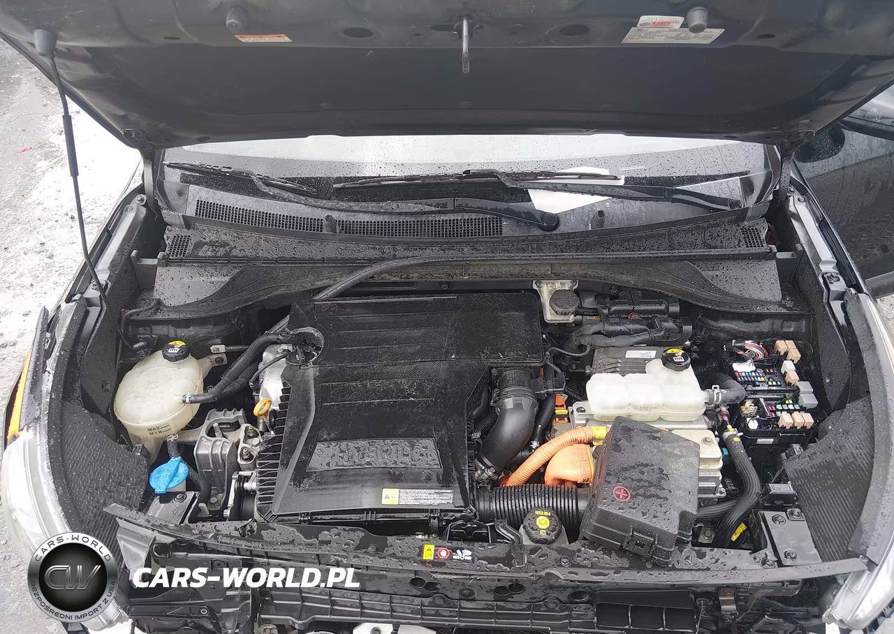 2019 Kia Niro Fe VIN:KNDCB3LC1K5244308 - 10