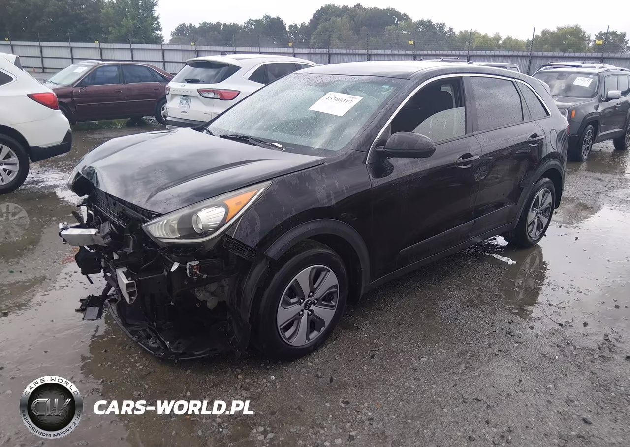 2019 Kia Niro Fe VIN:KNDCB3LC1K5244308 - 2