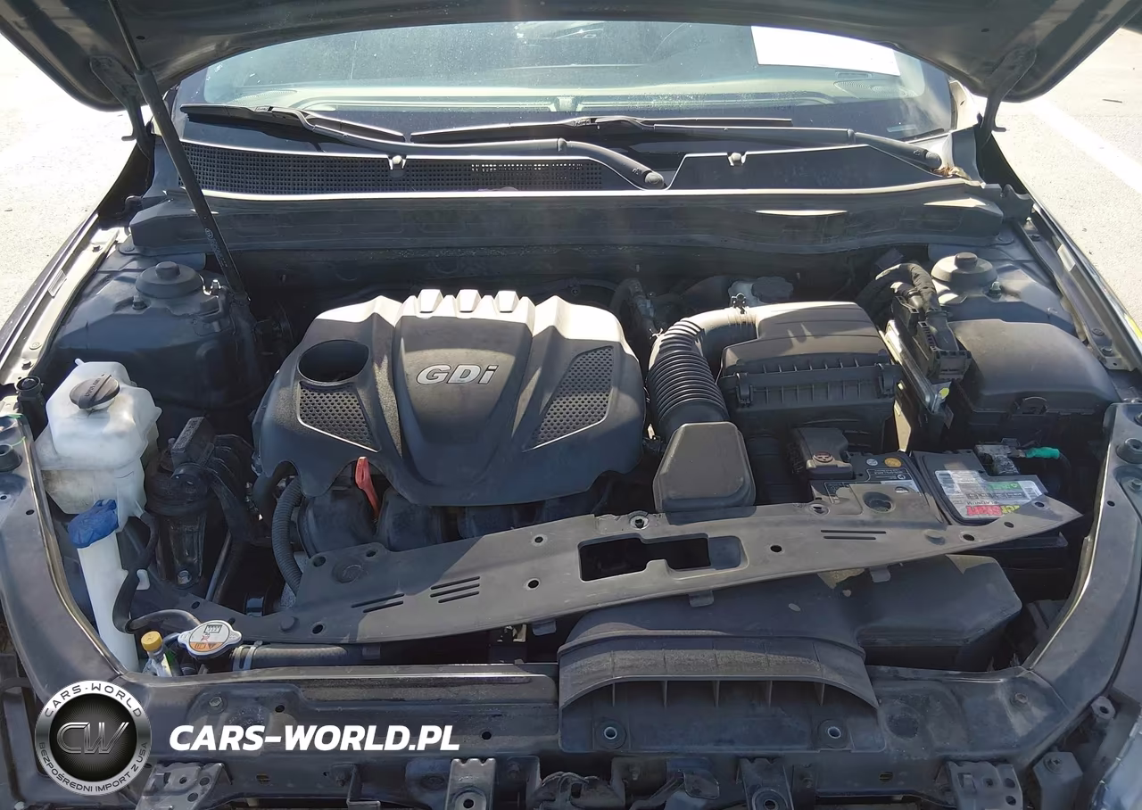 2015 Kia Optima Lx VIN:5XXGM4A70FG442189 - 10