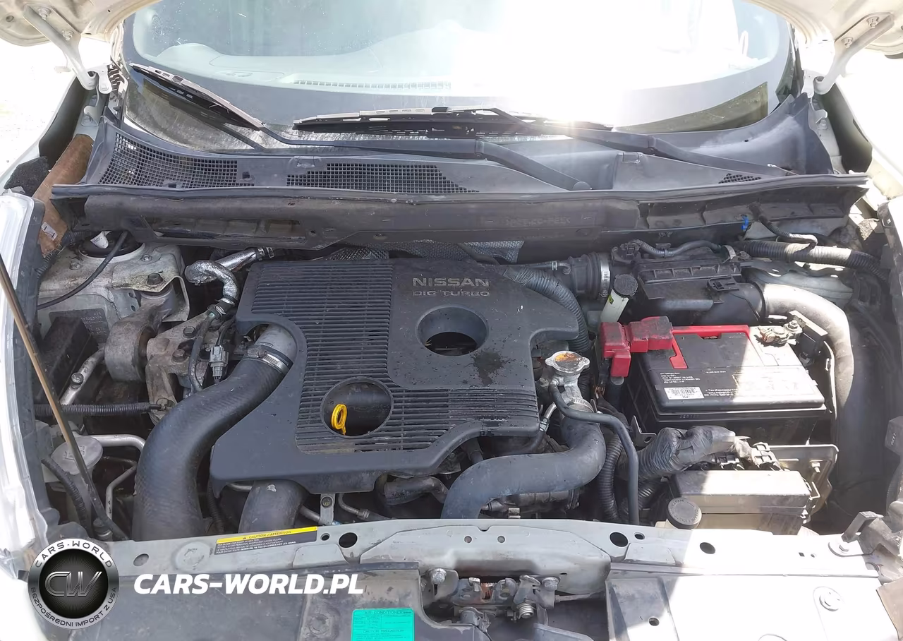 2011 Nissan Juke Sl VIN:JN8AF5MV9BT013924 - 10