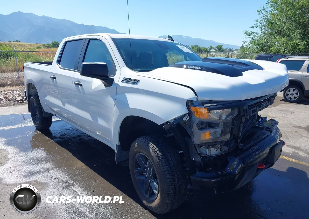 2024 Chevrolet Silverado 1500 4Wd Standard Bed Custom Trail Boss – zdjęcie 1 z 15