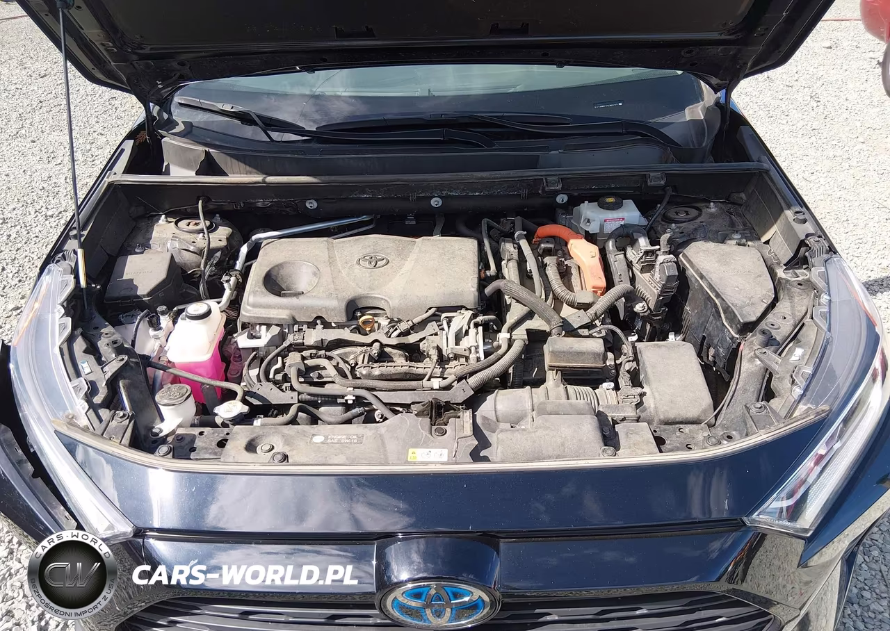 2020 Toyota Rav4 Hybrid Xle VIN:2T3RWRFV4LW057072 - 10