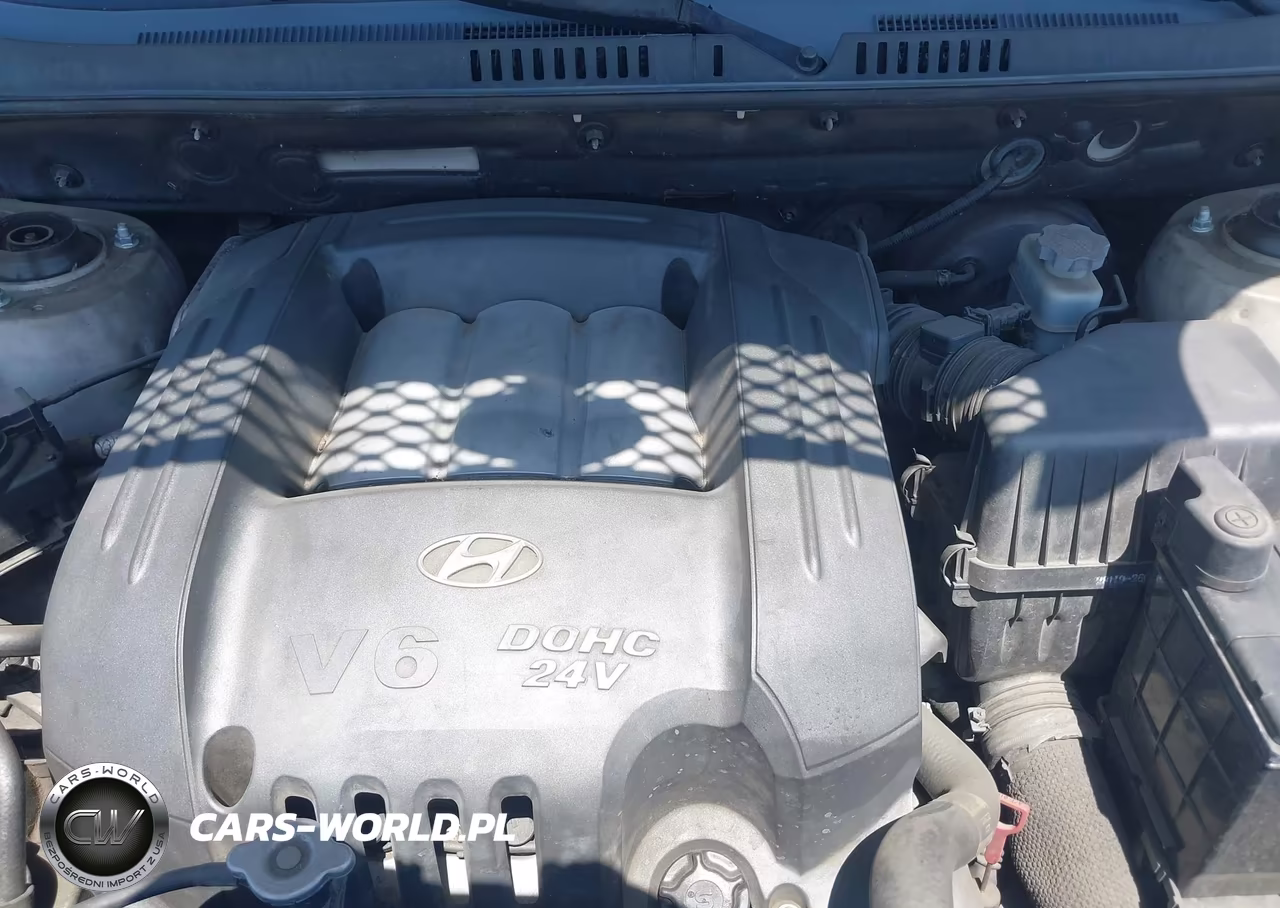 2005 Hyundai Santa Fe Gls VIN:KM8SC13D55U919329 - 10