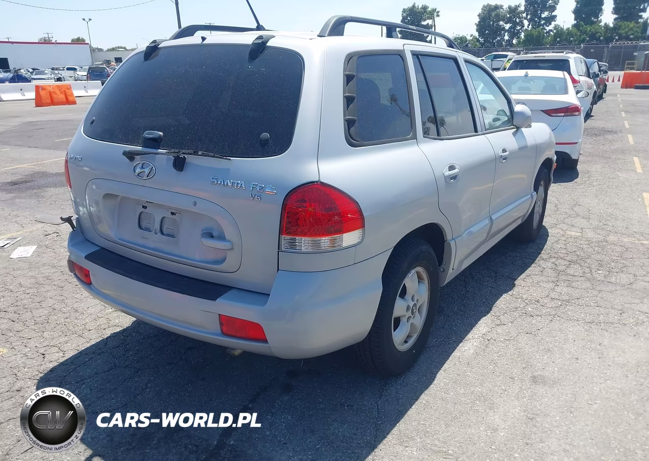2005 Hyundai Santa Fe Gls VIN:KM8SC13D55U919329 - 4