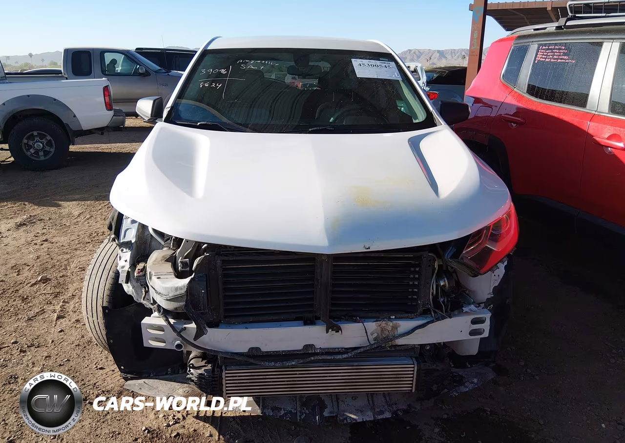 2019 Chevrolet Equinox Ls VIN:3GNAXHEV6KS615786 - 13